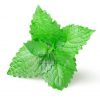 Green Mint Flavour 1
