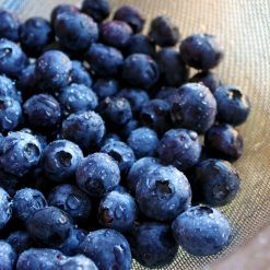 Blueberry eliquid Flavour 1
