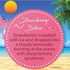 Strawberry Bikini - Summer Holidays