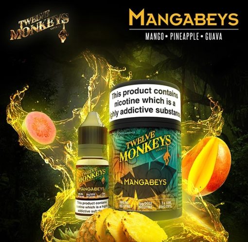 Mangabeys by Twelve Monkeys